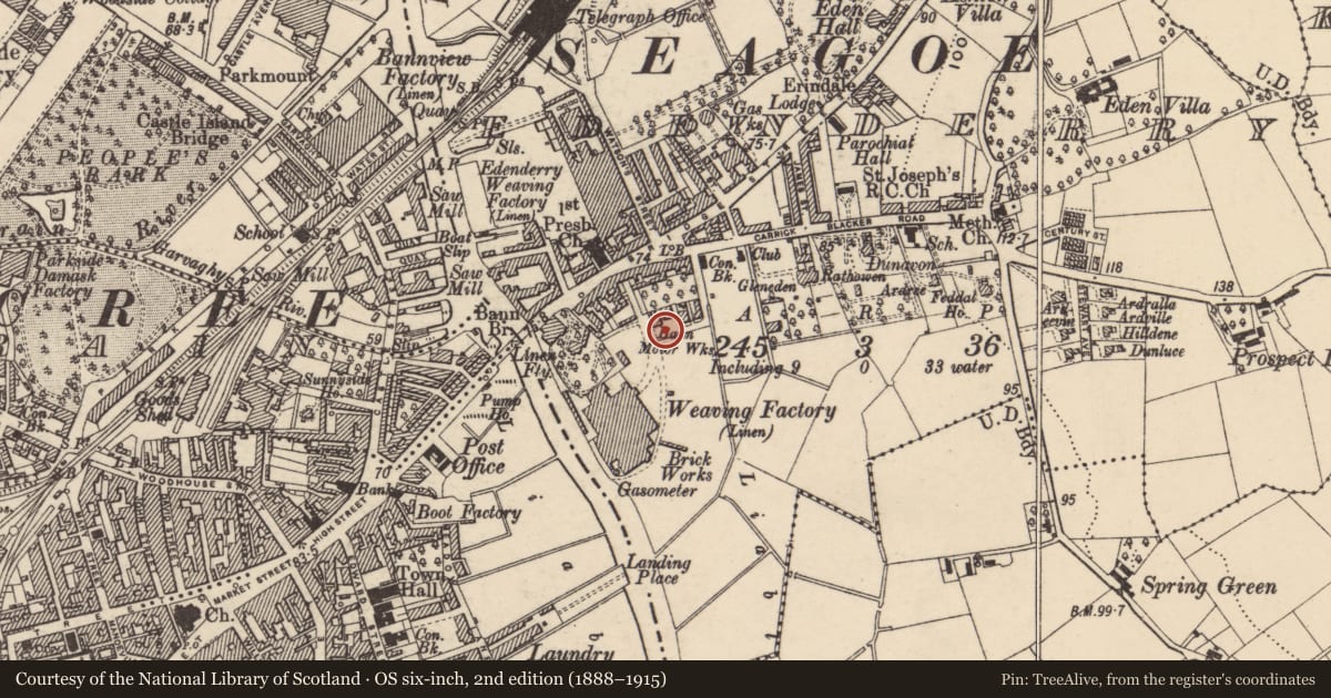 Ordnance Survey six-inch map, 2nd edition (1888–1915) covering the location of 20 Carrickblacker Avenue, Armagh City, Banbridge and Craigavon, with a pin at the register's coordinates