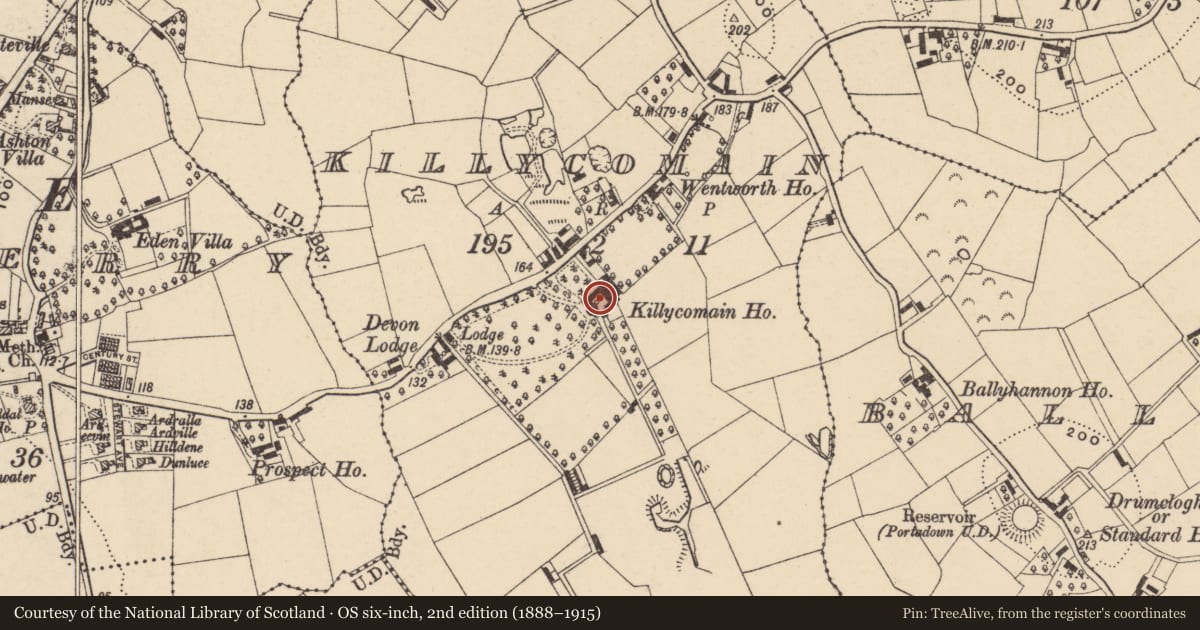 Ordnance Survey six-inch map, 2nd edition (1888–1915) covering the location of West Lawn, Armagh City, Banbridge and Craigavon, with a pin at the register's coordinates