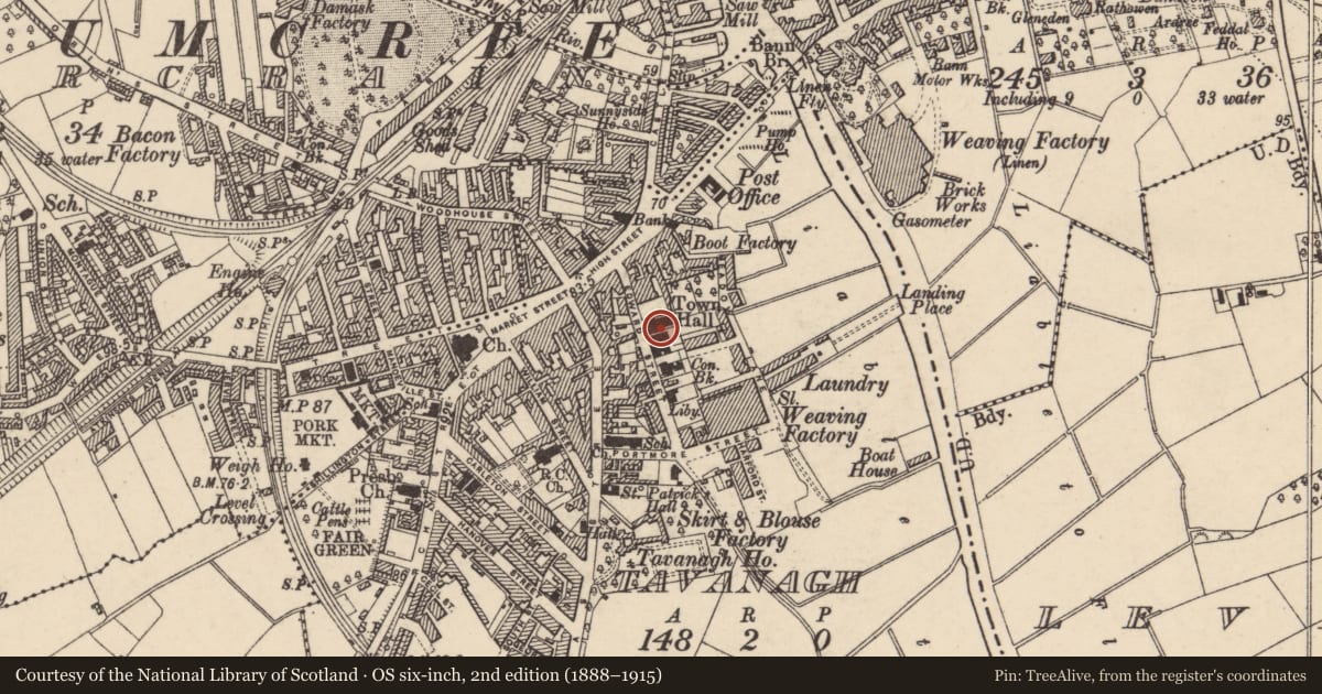 Ordnance Survey six-inch map, 2nd edition (1888–1915) covering the location of Town Hall, Armagh City, Banbridge and Craigavon, with a pin at the register's coordinates