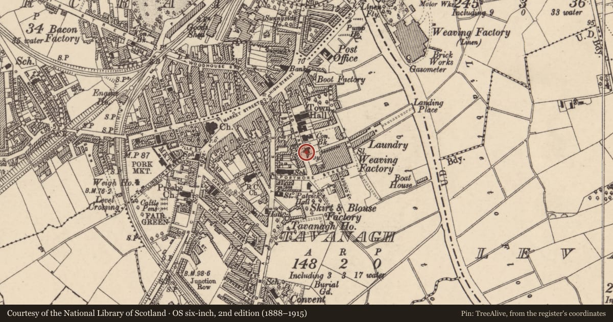 Ordnance Survey six-inch map, 2nd edition (1888–1915) covering the location of Carnegie Library, Armagh City, Banbridge and Craigavon, with a pin at the register's coordinates