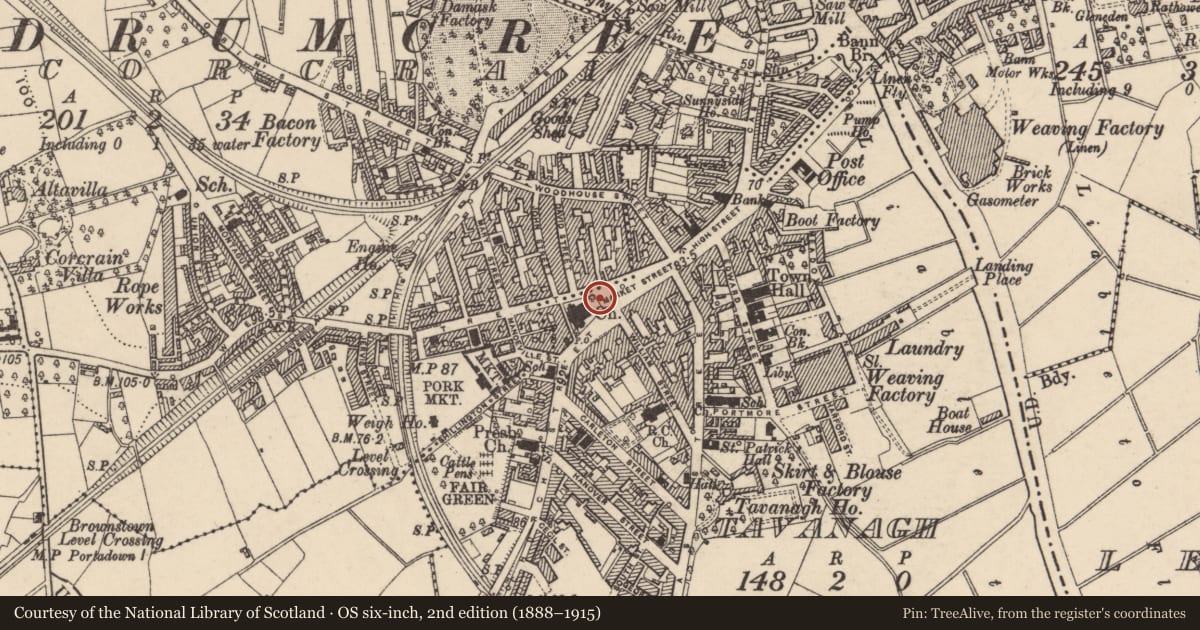Ordnance Survey six-inch map, 2nd edition (1888–1915) covering the location of Saunderson Statue, Armagh City, Banbridge and Craigavon, with a pin at the register's coordinates