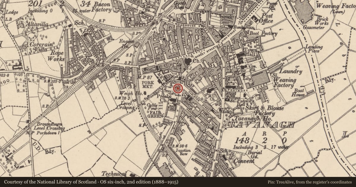 Ordnance Survey six-inch map, 2nd edition (1888–1915) covering the location of 21 Church St., Armagh City, Banbridge and Craigavon, with a pin at the register's coordinates