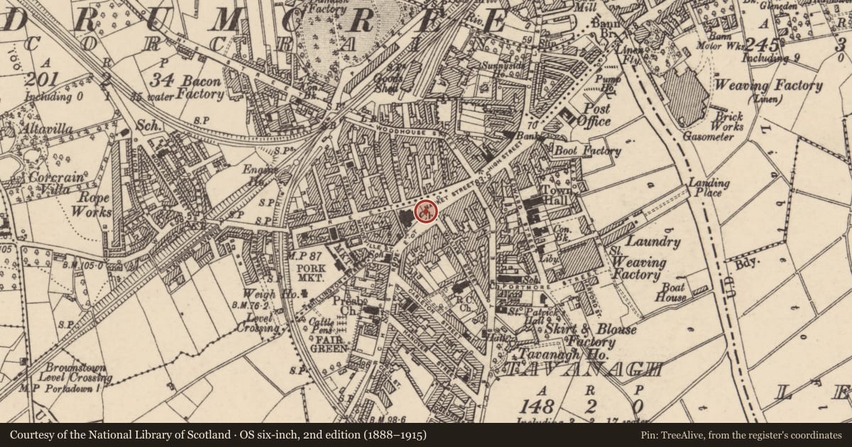 Ordnance Survey six-inch map, 2nd edition (1888–1915) covering the location of War Memorial, Armagh City, Banbridge and Craigavon, with a pin at the register's coordinates