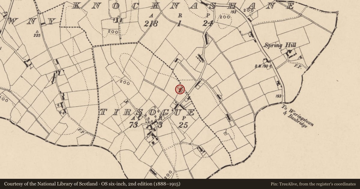 Ordnance Survey six-inch map, 2nd edition (1888–1915) covering the location of Grainoge, Tirsogue, Armagh City, Banbridge and Craigavon, with a pin at the register's coordinates