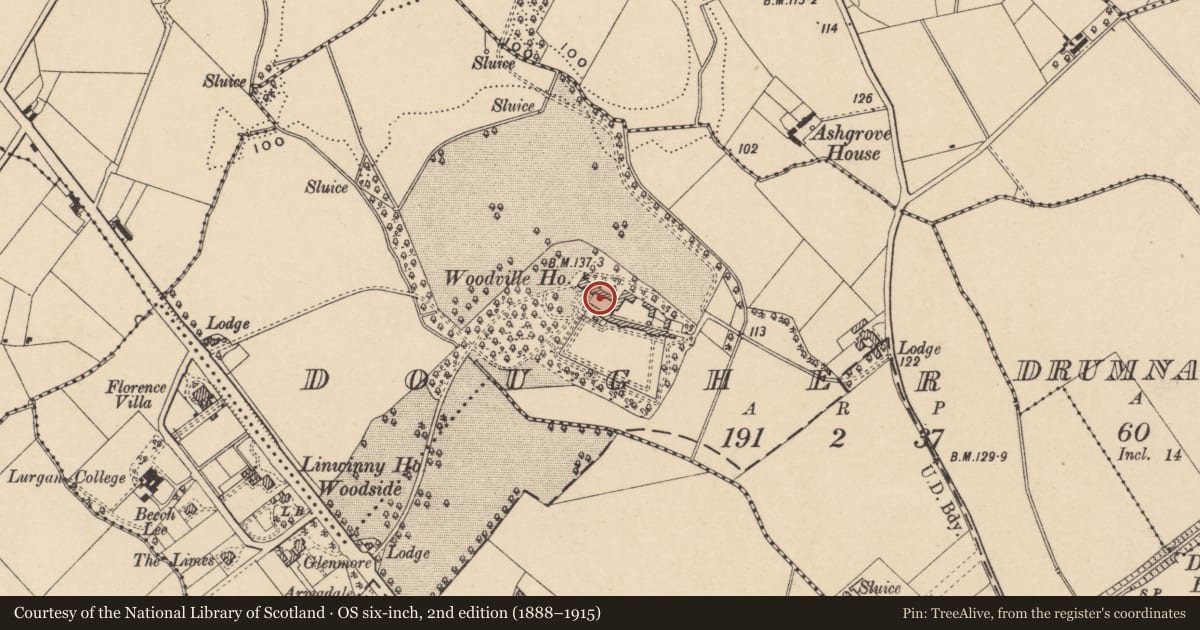 Ordnance Survey six-inch map, 2nd edition (1888–1915) covering the location of Woodville House, Armagh City, Banbridge and Craigavon, with a pin at the register's coordinates