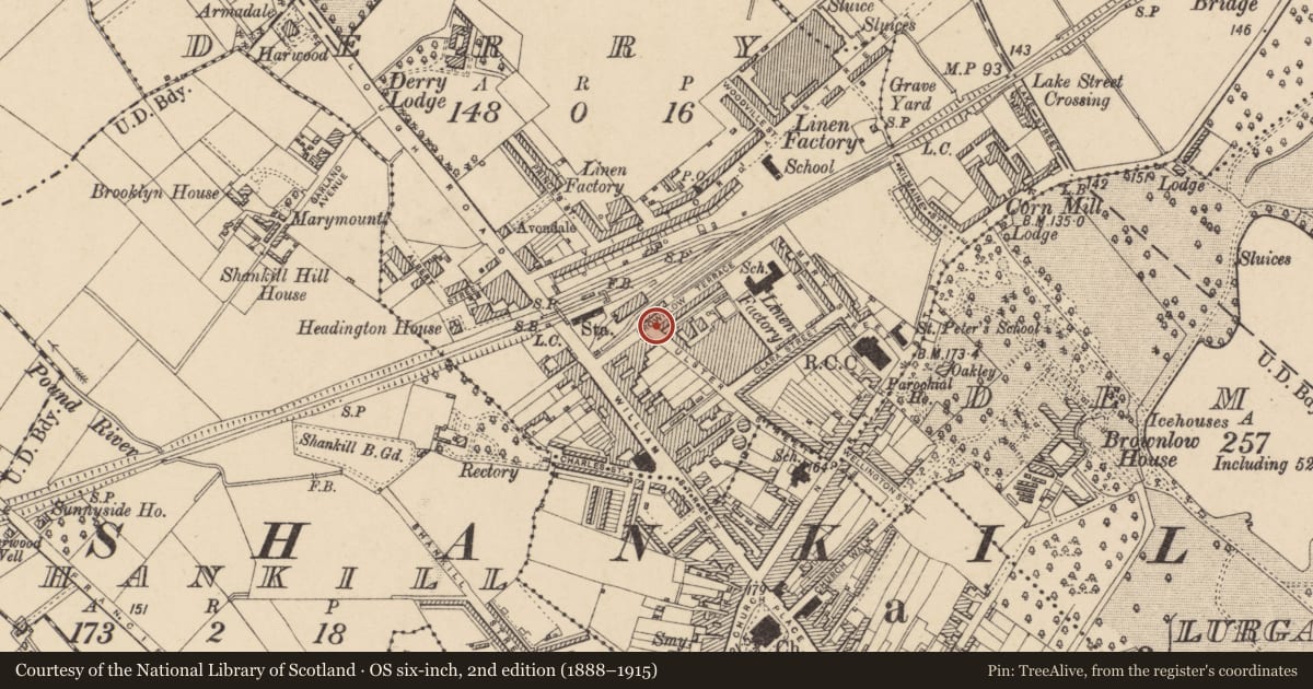 Ordnance Survey six-inch map, 2nd edition (1888–1915) covering the location of 11 Brownlow Terrace, Armagh City, Banbridge and Craigavon, with a pin at the register's coordinates