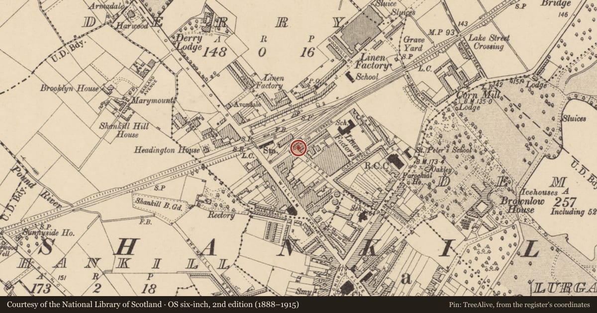 Ordnance Survey six-inch map, 2nd edition (1888–1915) covering the location of 12 Brownlow Terrace, Armagh City, Banbridge and Craigavon, with a pin at the register's coordinates
