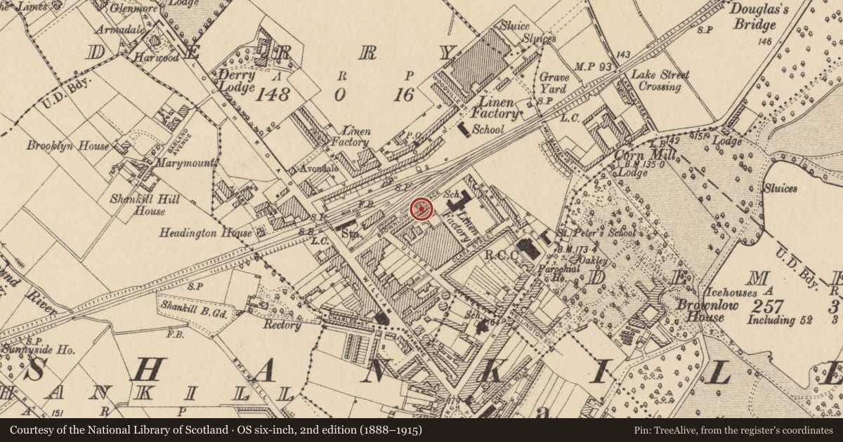 Ordnance Survey six-inch map, 2nd edition (1888–1915) covering the location of 29 Brownlow Terrace, Armagh City, Banbridge and Craigavon, with a pin at the register's coordinates