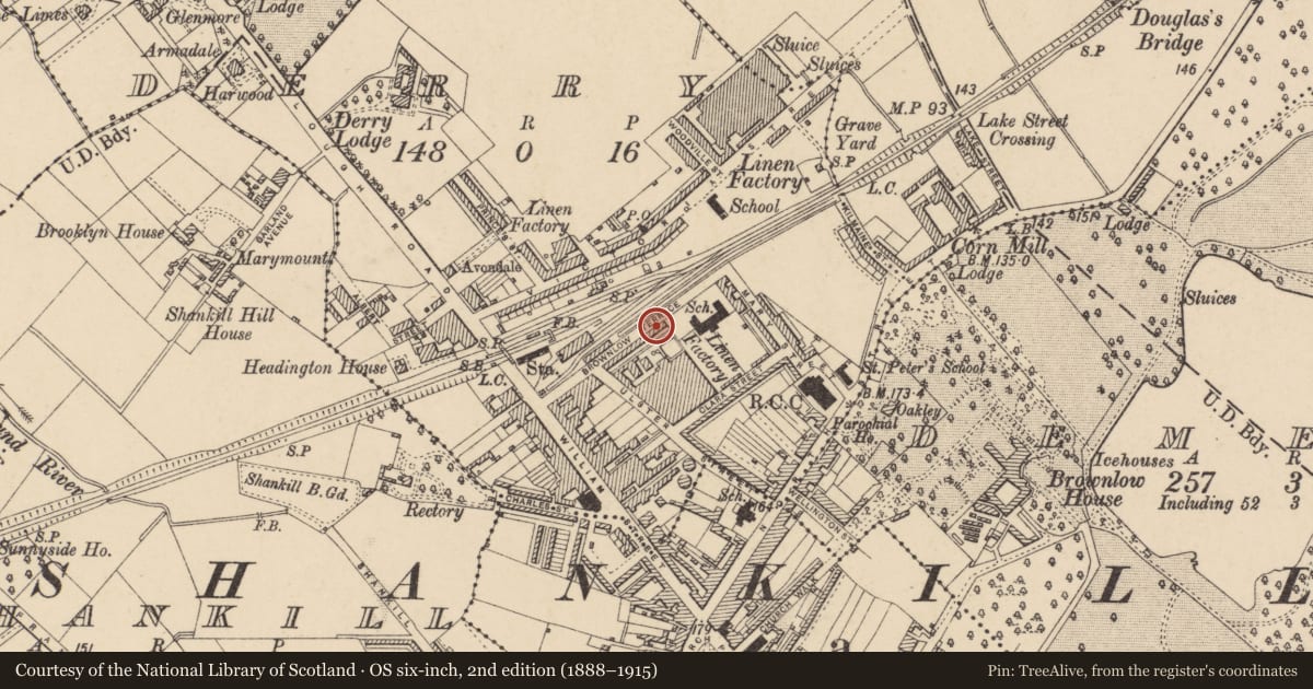 Ordnance Survey six-inch map, 2nd edition (1888–1915) covering the location of 31 Brownlow Terrace, Armagh City, Banbridge and Craigavon, with a pin at the register's coordinates