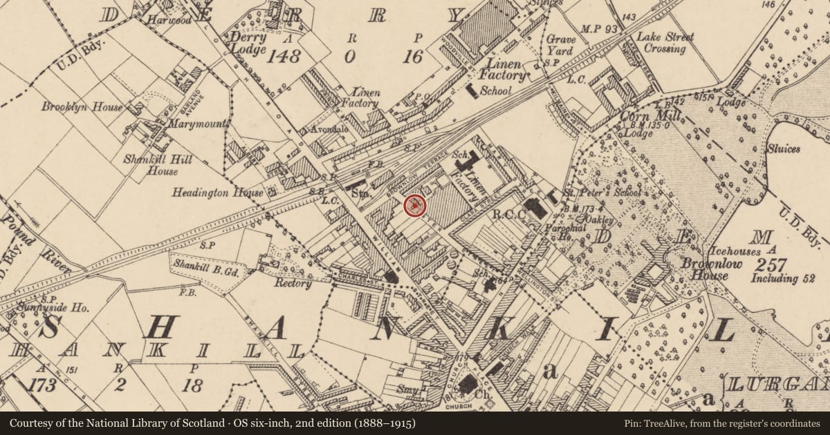 Ordnance Survey six-inch map, 2nd edition (1888–1915) covering the location of The Lurgan Factory Ltd., Armagh City, Banbridge and Craigavon, with a pin at the register's coordinates