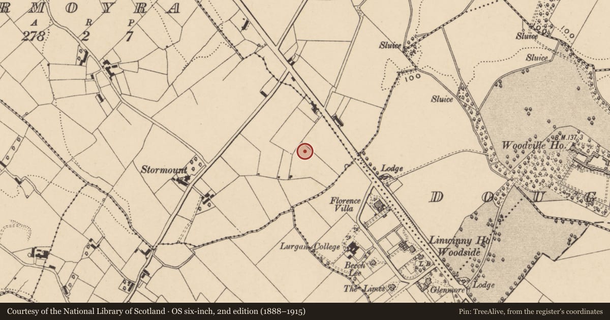 Ordnance Survey six-inch map, 2nd edition (1888–1915) covering the location of Fallowfield School, Armagh City, Banbridge and Craigavon, with a pin at the register's coordinates