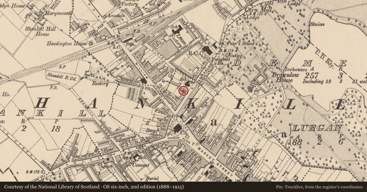 Ordnance Survey six-inch map, 2nd edition (1888–1915) covering the location of Irish Naitonal Foresters, 38 North Street, Lurgan, Craigavon, BT67 9AQ, Armagh City, Banbridge and Craigavon, with a pin at the register's coordinates