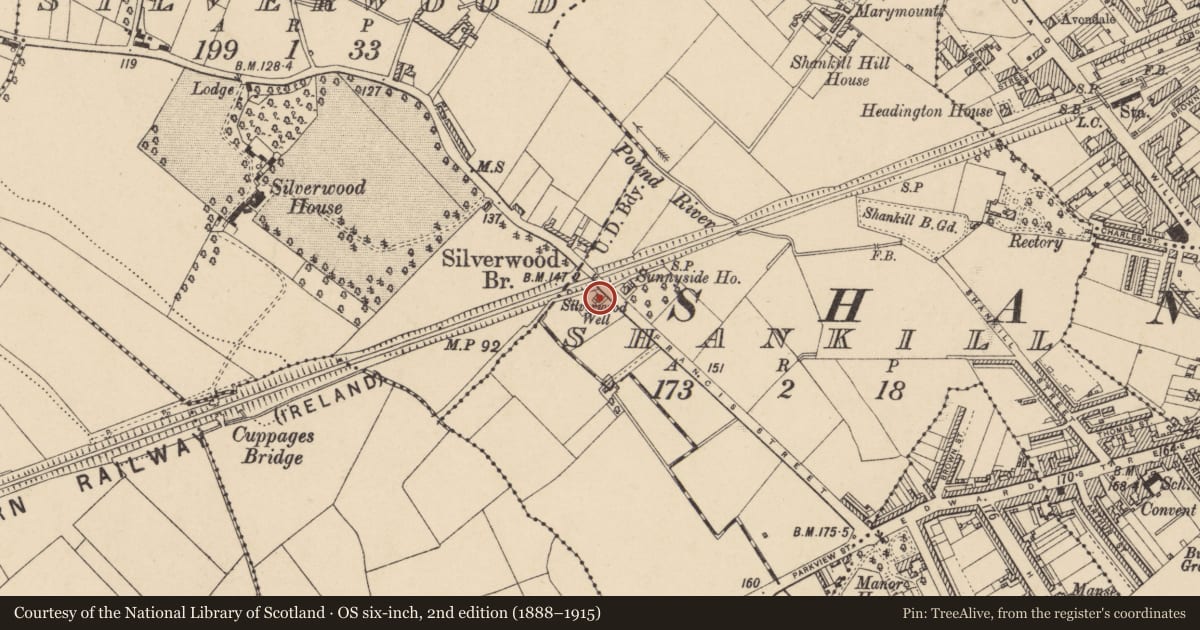 Ordnance Survey six-inch map, 2nd edition (1888–1915) covering the location of Sliverwood Villa 30 Francis Street Lurgan BT66 6DN, Shankill, Armagh City, Banbridge and Craigavon, with a pin at the register's coordinates