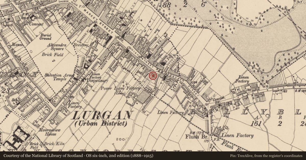 Ordnance Survey six-inch map, 2nd edition (1888–1915) covering the location of Orchard County Hotel, Lurgan, Armagh City, Banbridge and Craigavon, with a pin at the register's coordinates