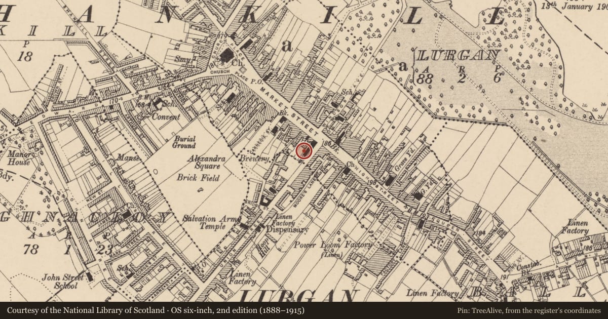 Ordnance Survey six-inch map, 2nd edition (1888–1915) covering the location of Town Hall, Armagh City, Banbridge and Craigavon, with a pin at the register's coordinates