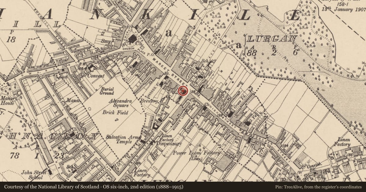 Ordnance Survey six-inch map, 2nd edition (1888–1915) covering the location of Mechanic'S Institute, Armagh City, Banbridge and Craigavon, with a pin at the register's coordinates