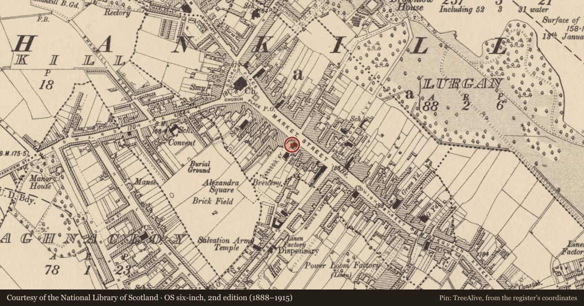 Ordnance Survey six-inch map, 2nd edition (1888–1915) covering the location of Danske Bank, LURGAN, Armagh City, Banbridge and Craigavon, with a pin at the register's coordinates