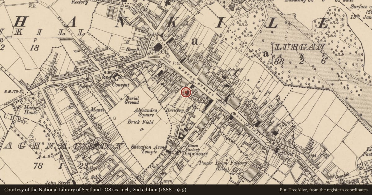 Ordnance Survey six-inch map, 2nd edition (1888–1915) covering the location of Carnegie Library, LURGAN, Armagh City, Banbridge and Craigavon, with a pin at the register's coordinates