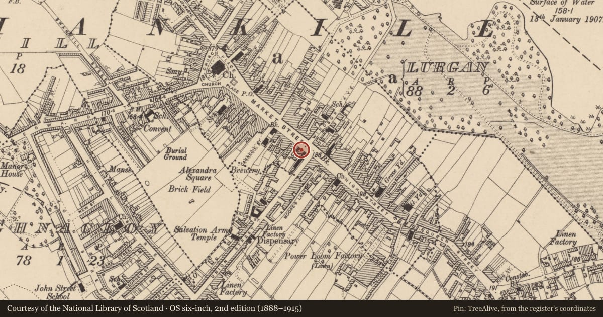 Ordnance Survey six-inch map, 2nd edition (1888–1915) covering the location of Post Box, LURGAN, Armagh City, Banbridge and Craigavon, with a pin at the register's coordinates