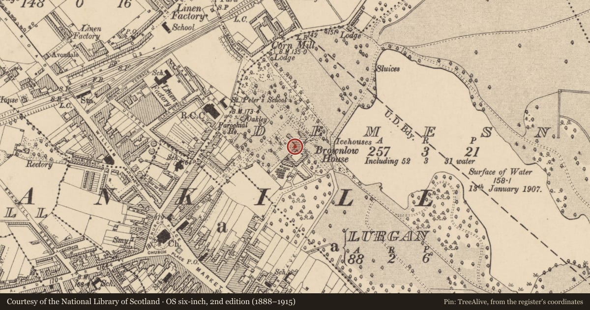 Ordnance Survey six-inch map, 2nd edition (1888–1915) covering the location of Brownlow House, Armagh City, Banbridge and Craigavon, with a pin at the register's coordinates