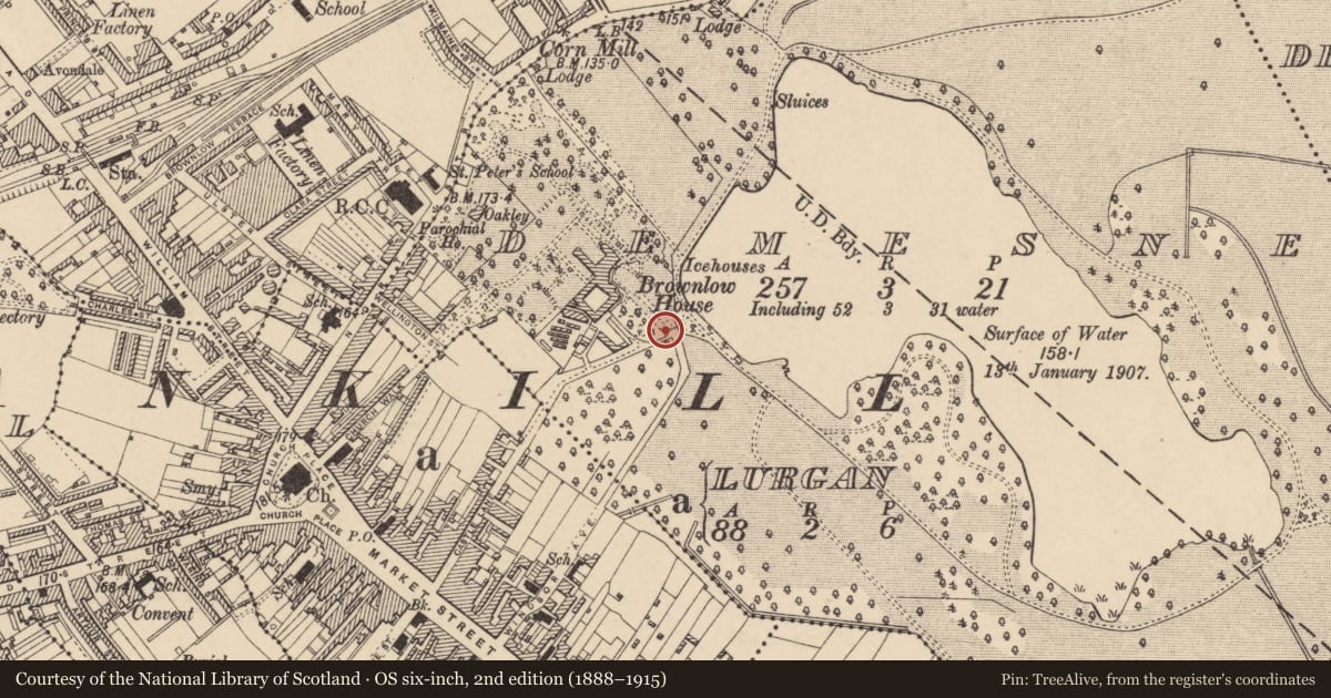 Ordnance Survey six-inch map, 2nd edition (1888–1915) covering the location of Entrance Gates Of Brownlow House, Armagh City, Banbridge and Craigavon, with a pin at the register's coordinates