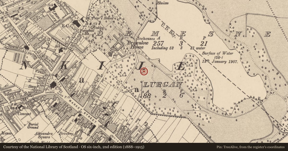 Ordnance Survey six-inch map, 2nd edition (1888–1915) covering the location of The Fountain, Armagh City, Banbridge and Craigavon, with a pin at the register's coordinates