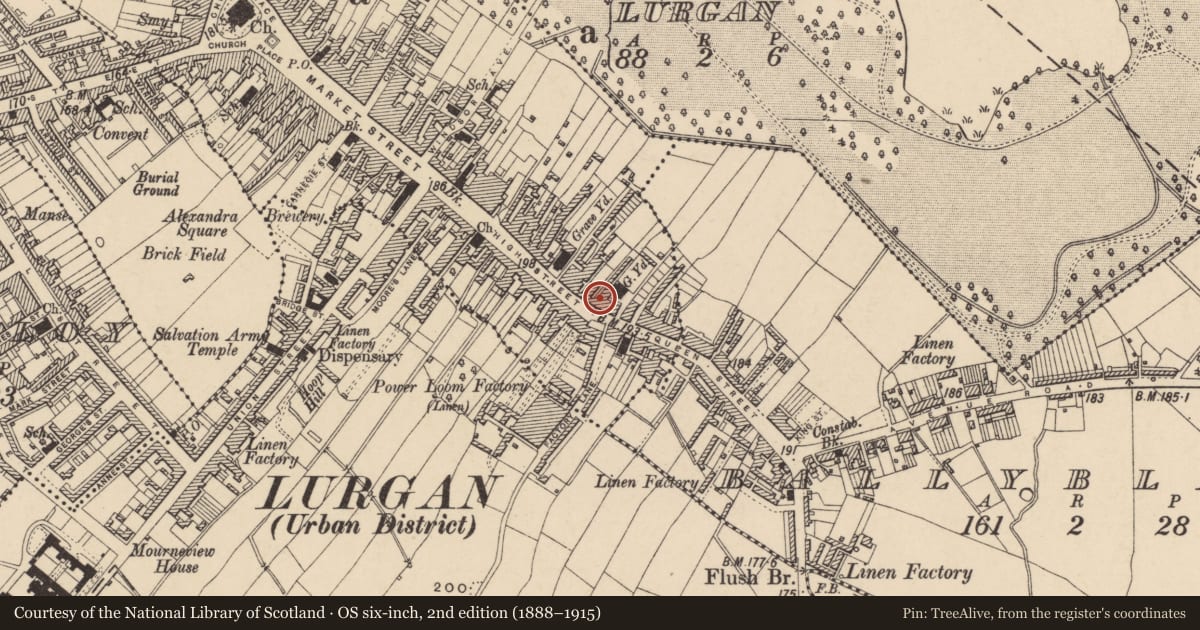 Ordnance Survey six-inch map, 2nd edition (1888–1915) covering the location of 80 High St., Armagh City, Banbridge and Craigavon, with a pin at the register's coordinates