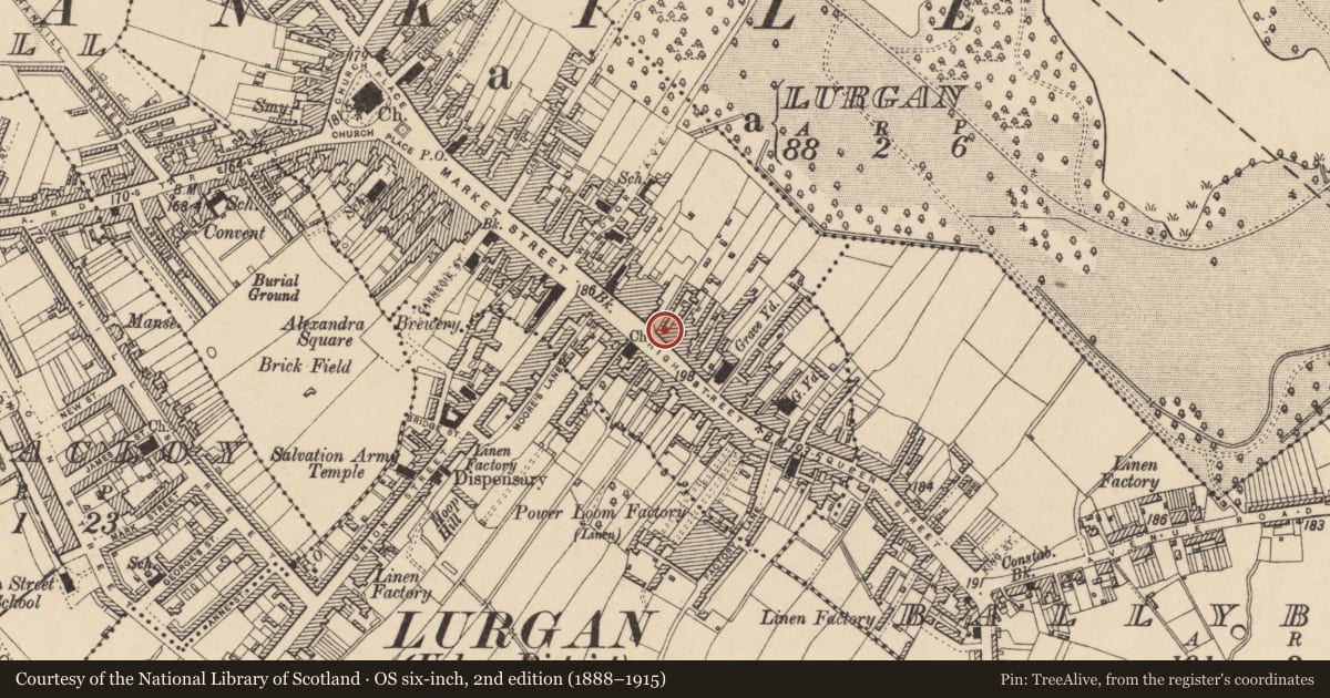 Ordnance Survey six-inch map, 2nd edition (1888–1915) covering the location of 44 High St., Armagh City, Banbridge and Craigavon, with a pin at the register's coordinates