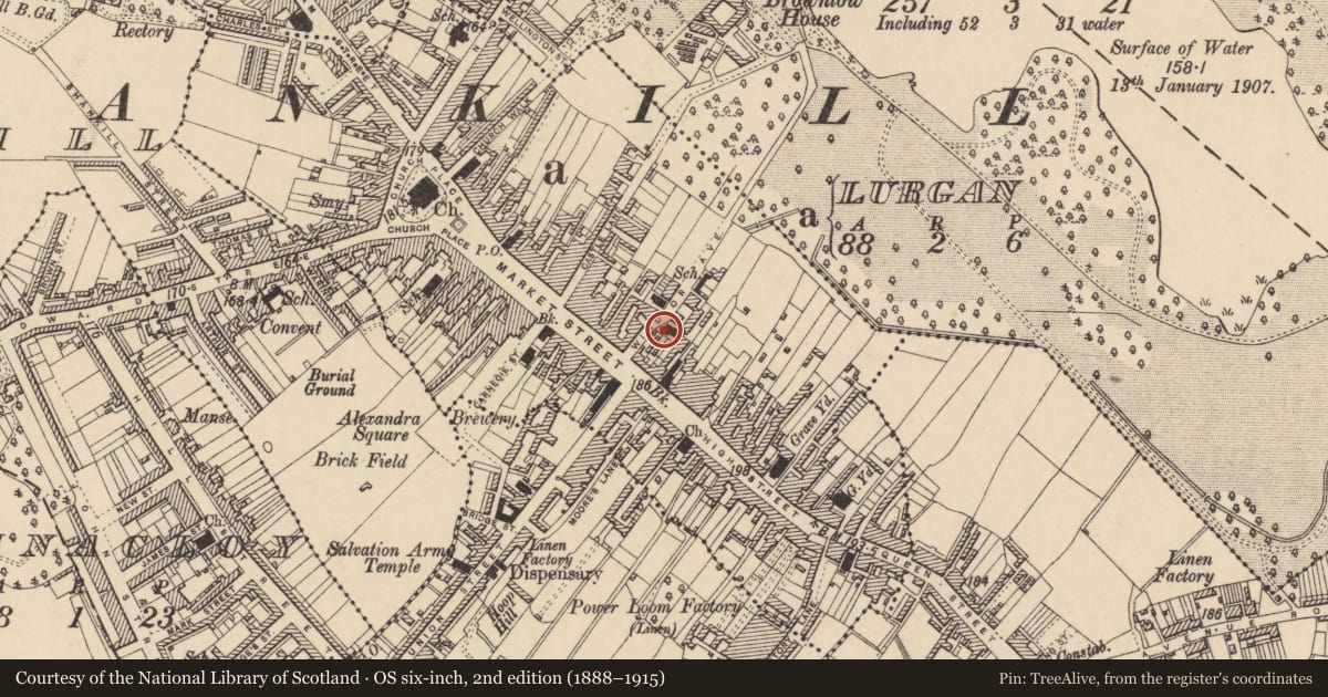 Ordnance Survey six-inch map, 2nd edition (1888–1915) covering the location of Masonic Hall, Armagh City, Banbridge and Craigavon, with a pin at the register's coordinates