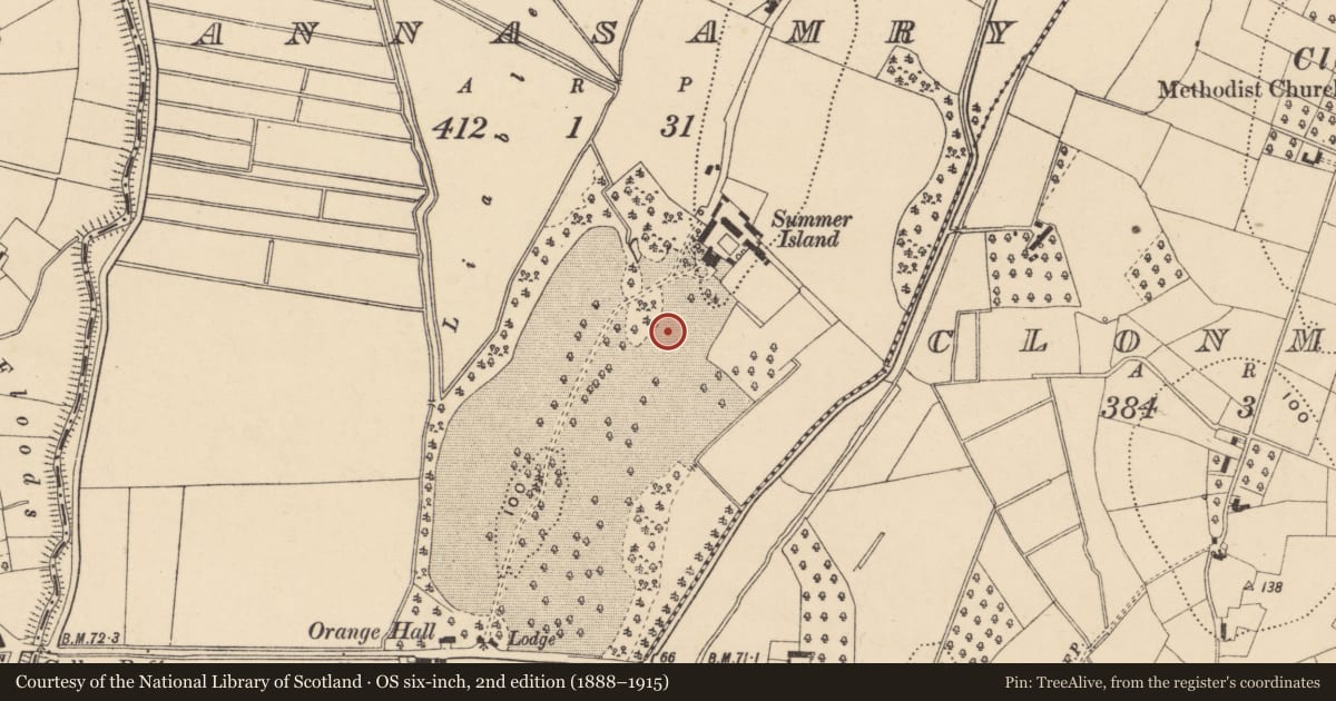 Ordnance Survey six-inch map, 2nd edition (1888–1915) covering the location of Summer Island, Armagh City, Banbridge and Craigavon, with a pin at the register's coordinates