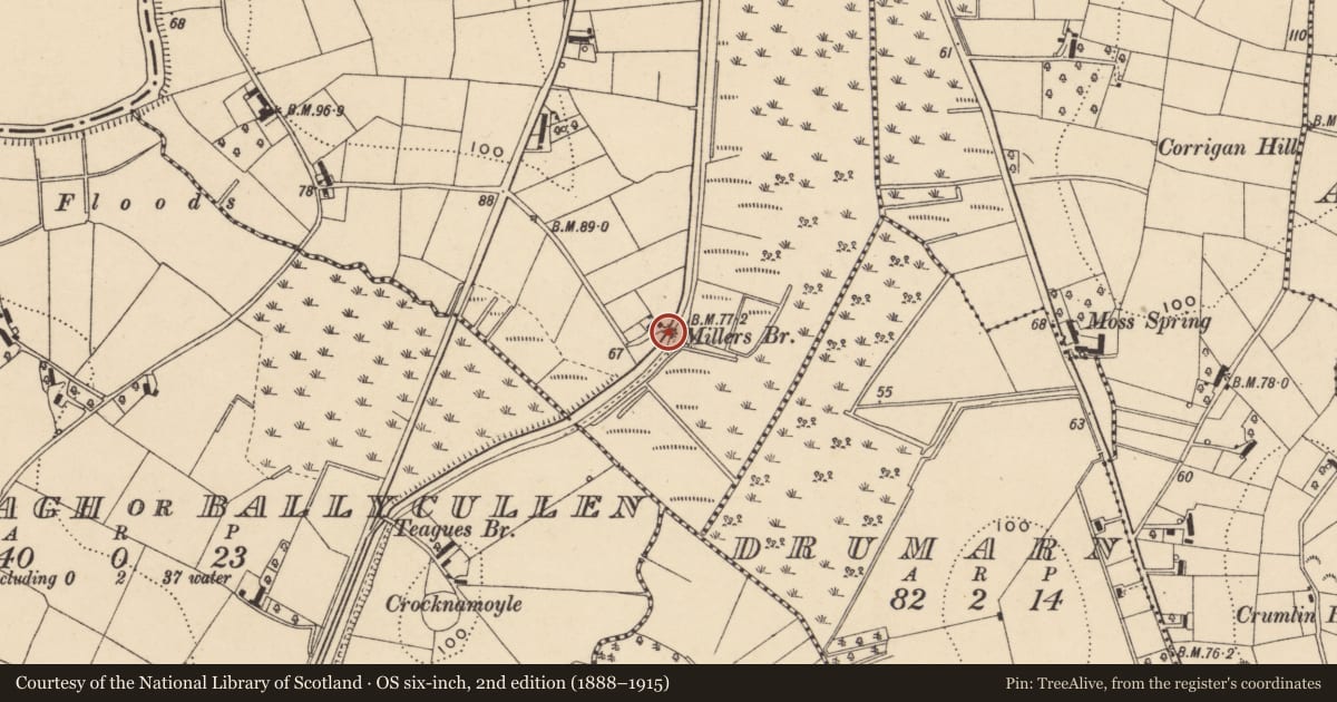 Ordnance Survey six-inch map, 2nd edition (1888–1915) covering the location of Miller'S Bridge, Armagh City, Banbridge and Craigavon, with a pin at the register's coordinates