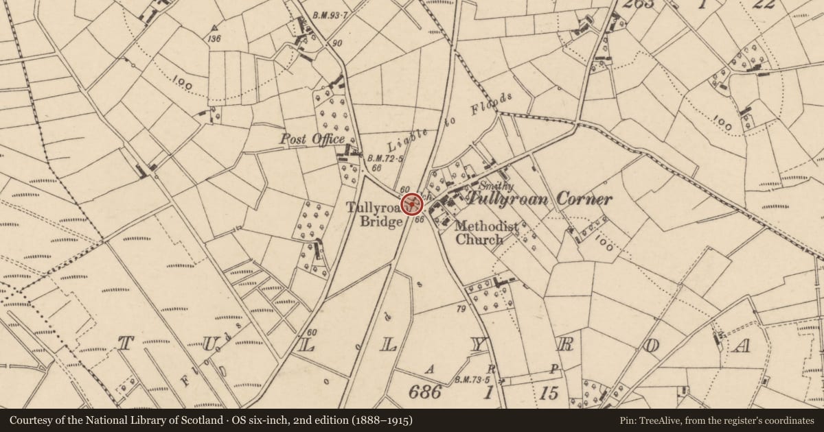 Ordnance Survey six-inch map, 2nd edition (1888–1915) covering the location of Tullyroan Bridge, Armagh City, Banbridge and Craigavon, with a pin at the register's coordinates