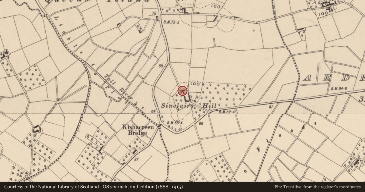 Ordnance Survey six-inch map, 2nd edition (1888–1915) covering the location of Tullyroan House, Armagh City, Banbridge and Craigavon, with a pin at the register's coordinates