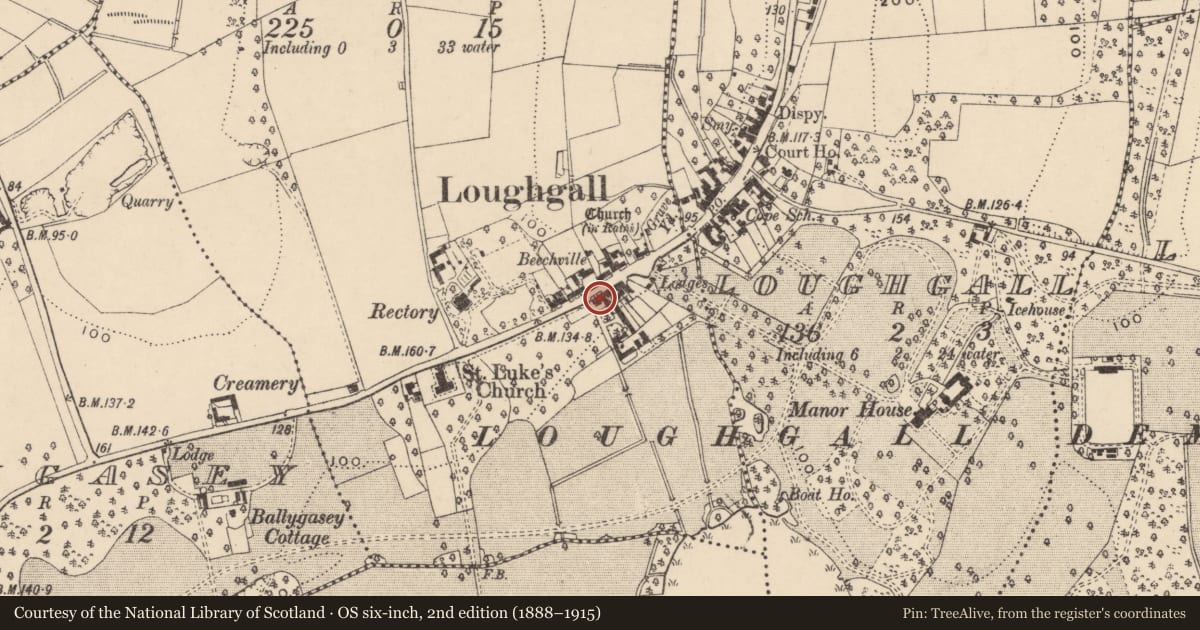 Ordnance Survey six-inch map, 2nd edition (1888–1915) covering the location of Loughgall House, Levalleglish, Armagh City, Banbridge and Craigavon, with a pin at the register's coordinates