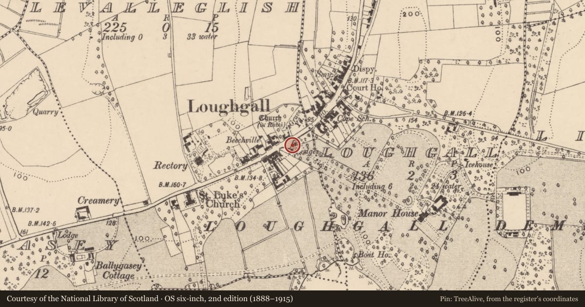Ordnance Survey six-inch map, 2nd edition (1888–1915) covering the location of Gate lodges at Manor House, Levalleglish, Armagh City, Banbridge and Craigavon, with a pin at the register's coordinates