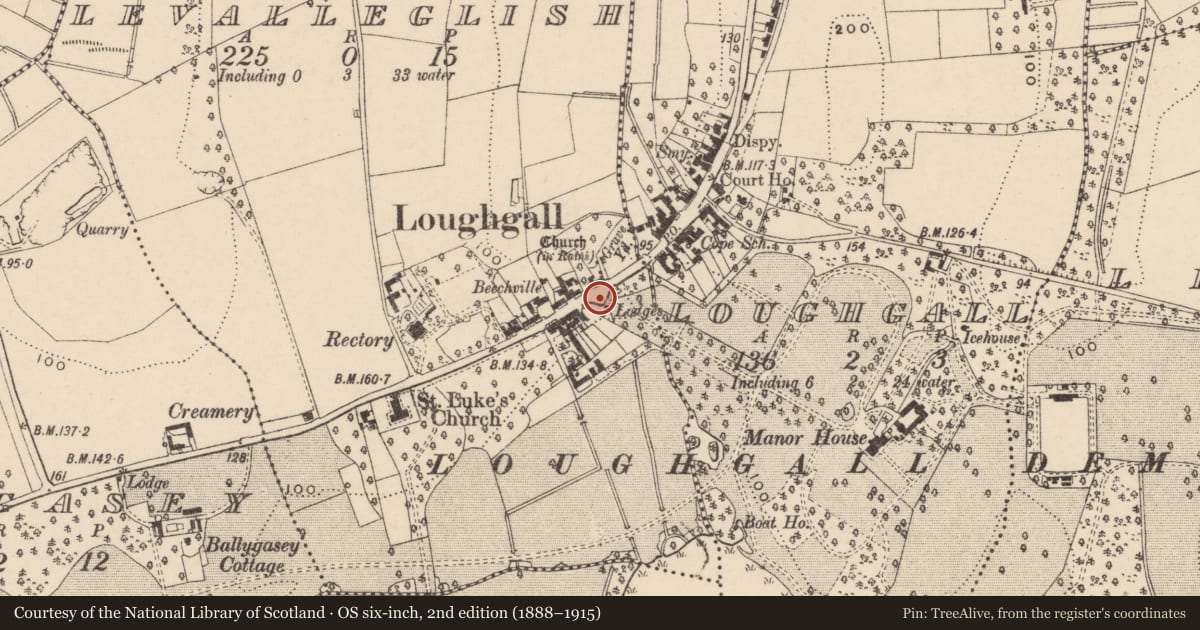Ordnance Survey six-inch map, 2nd edition (1888–1915) covering the location of Main gateway of Manor House, Levalleglish, Armagh City, Banbridge and Craigavon, with a pin at the register's coordinates