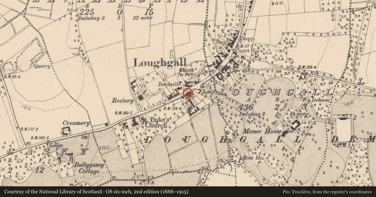 Ordnance Survey six-inch map, 2nd edition (1888–1915) covering the location of 21-29 Main Street, Levalleglish, Armagh City, Banbridge and Craigavon, with a pin at the register's coordinates