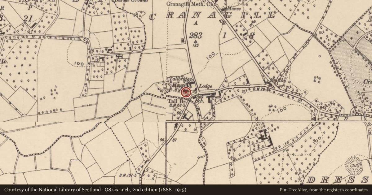 Ordnance Survey six-inch map, 2nd edition (1888–1915) covering the location of Tallbridge House, Armagh City, Banbridge and Craigavon, with a pin at the register's coordinates