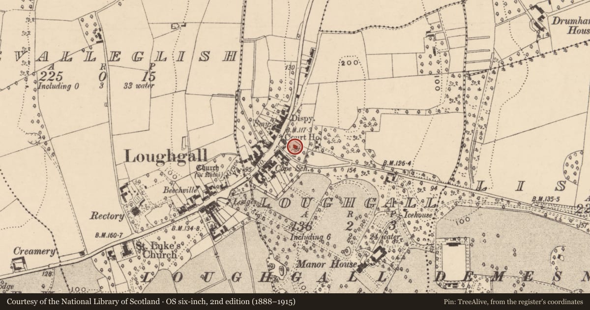 Ordnance Survey six-inch map, 2nd edition (1888–1915) covering the location of Rose Cottage, Loughgall, Armagh City, Banbridge and Craigavon, with a pin at the register's coordinates