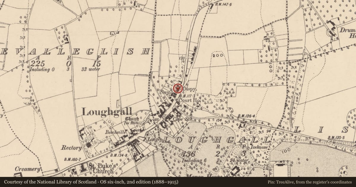 Ordnance Survey six-inch map, 2nd edition (1888–1915) covering the location of Dispensary House, Loughgall, Armagh City, Banbridge and Craigavon, with a pin at the register's coordinates