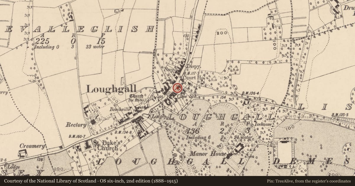Ordnance Survey six-inch map, 2nd edition (1888–1915) covering the location of 59 Main St., Armagh City, Banbridge and Craigavon, with a pin at the register's coordinates