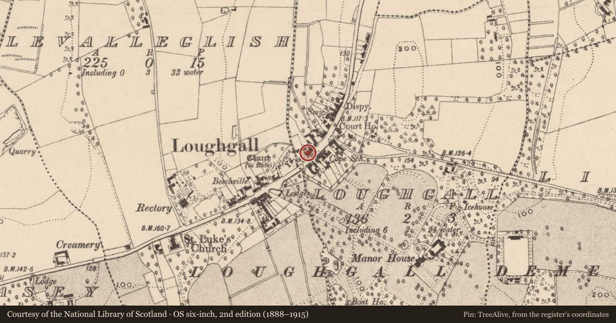 Ordnance Survey six-inch map, 2nd edition (1888–1915) covering the location of 50 Main St., Armagh City, Banbridge and Craigavon, with a pin at the register's coordinates