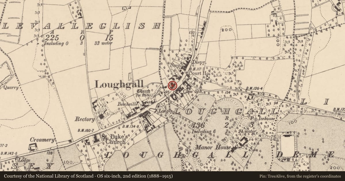 Ordnance Survey six-inch map, 2nd edition (1888–1915) covering the location of 54 Main St., Armagh City, Banbridge and Craigavon, with a pin at the register's coordinates