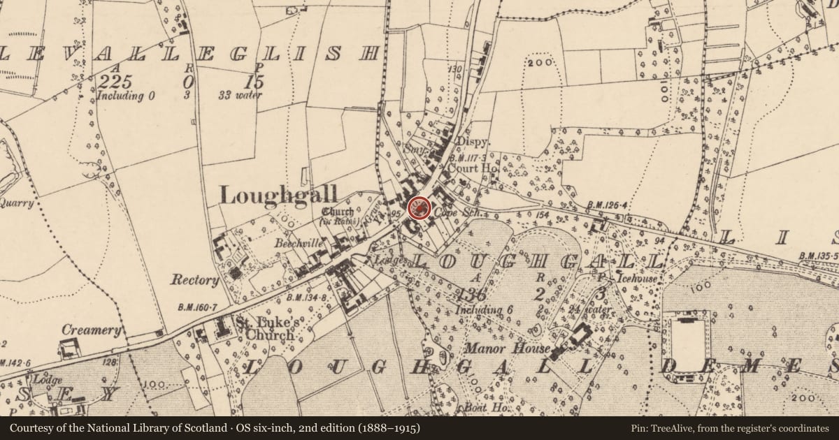 Ordnance Survey six-inch map, 2nd edition (1888–1915) covering the location of 53 Main St., Armagh City, Banbridge and Craigavon, with a pin at the register's coordinates