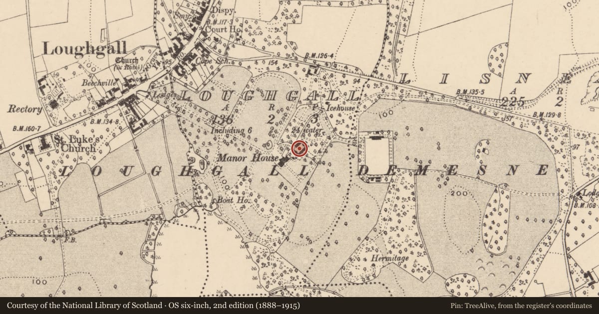Ordnance Survey six-inch map, 2nd edition (1888–1915) covering the location of Manor Yard, Loughgall, Armagh City, Banbridge and Craigavon, with a pin at the register's coordinates