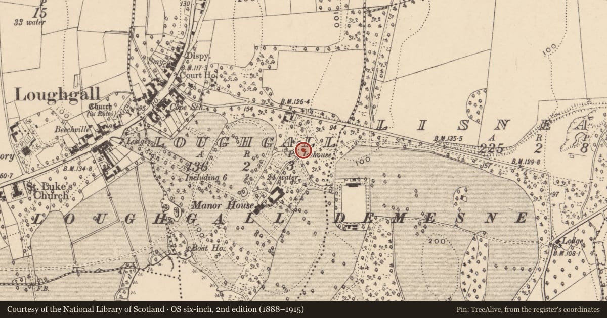 Ordnance Survey six-inch map, 2nd edition (1888–1915) covering the location of Ice House, Loughgall, Armagh City, Banbridge and Craigavon, with a pin at the register's coordinates