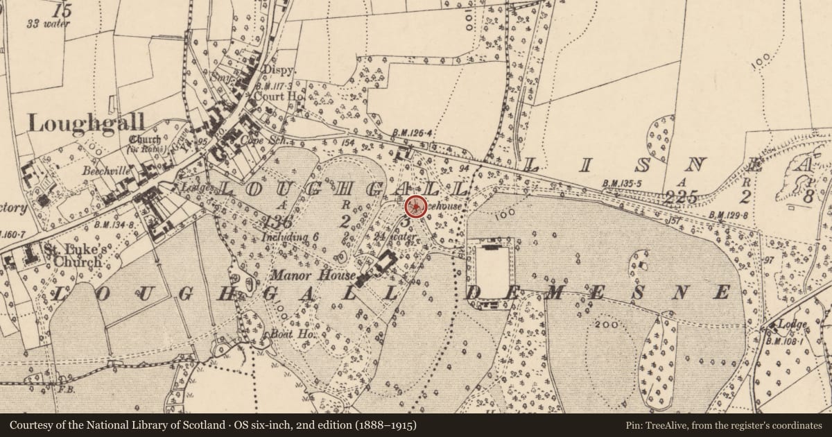 Ordnance Survey six-inch map, 2nd edition (1888–1915) covering the location of Footbridge, Loughgall, Armagh City, Banbridge and Craigavon, with a pin at the register's coordinates