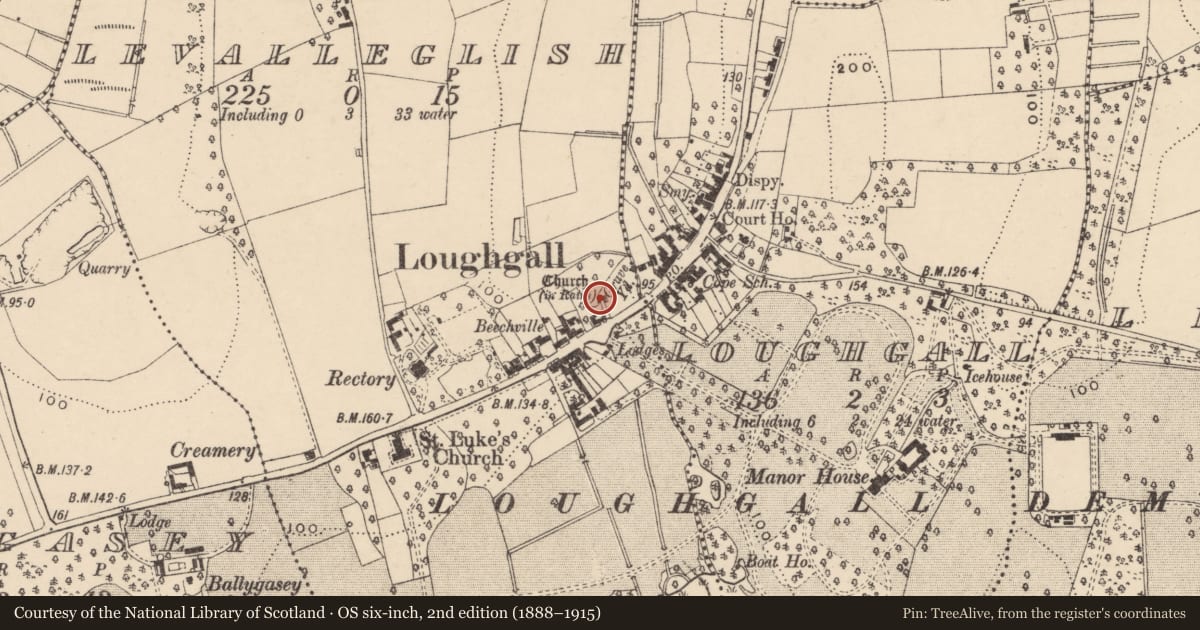 Ordnance Survey six-inch map, 2nd edition (1888–1915) covering the location of Old church graveyard, Levalleglish, Armagh City, Banbridge and Craigavon, with a pin at the register's coordinates
