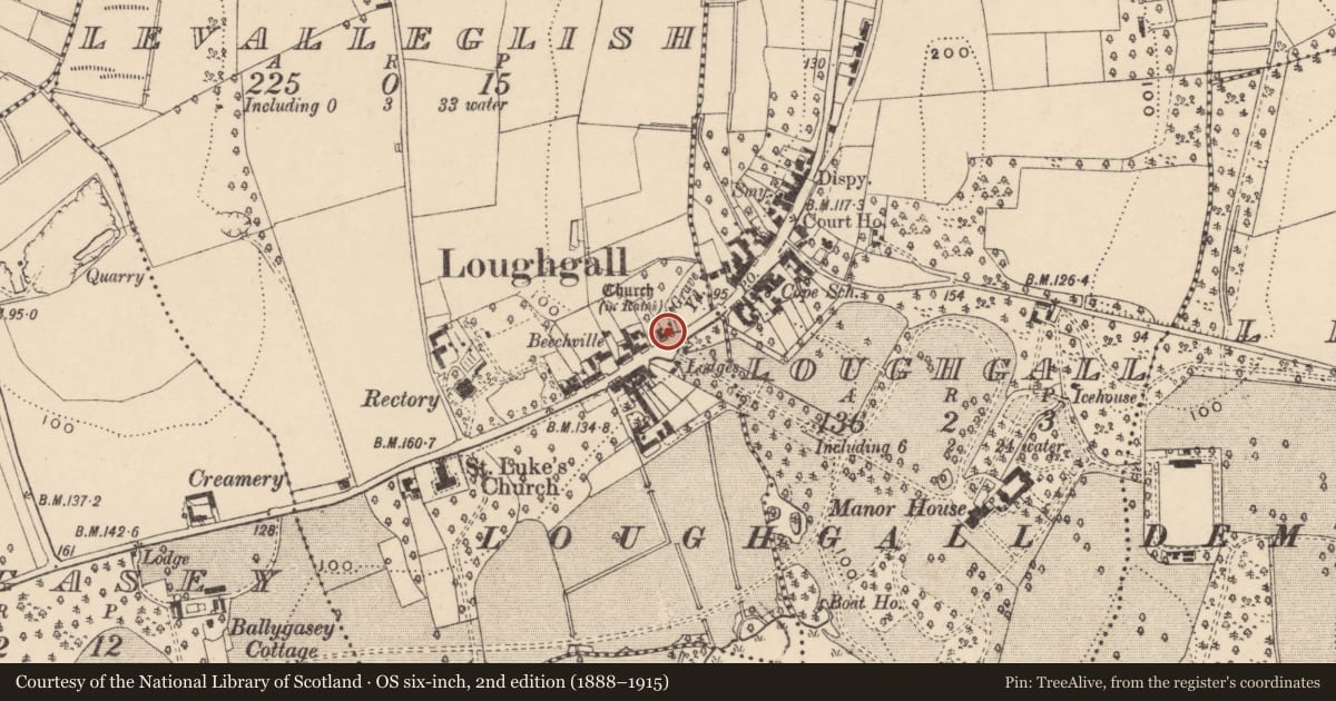 Ordnance Survey six-inch map, 2nd edition (1888–1915) covering the location of 44 Main Street, Levalleglish, Armagh City, Banbridge and Craigavon, with a pin at the register's coordinates