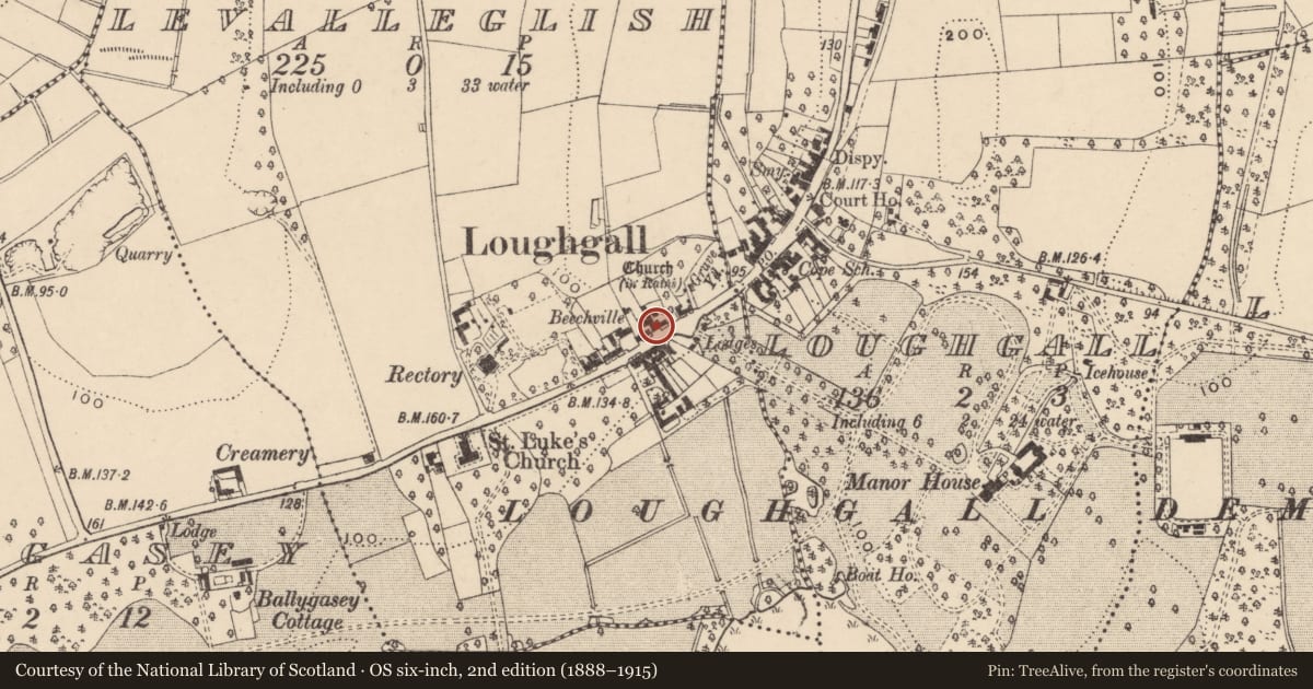 Ordnance Survey six-inch map, 2nd edition (1888–1915) covering the location of Orange Hall, Levalleglish, Armagh City, Banbridge and Craigavon, with a pin at the register's coordinates